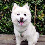 Profile Picture of Aimee Huang (@aimee_huang) on Instagram