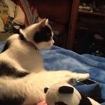 Profile Picture of Kenneth Przybyla (@narutorunner12) on Instagram