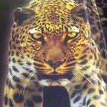 Profile Picture of Flora Rendon (@graceful_hopeful18) on Instagram