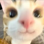 Profile Picture of Lance Zyrel Dano Butlig (@lance.zyrel.dano.butlig) on Facebook