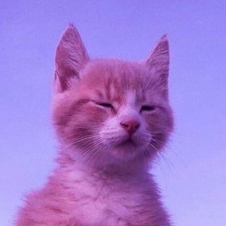 Profile Picture of Joseph Fresi (@jdawgfrez) on Tiktok