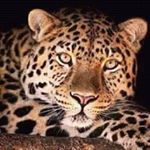 Profile Picture of Mauricio Duque (@duquemauricio09) on Instagram