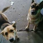 Profile Picture of Adrian Arthur Ajencu (@ajencu10) on Instagram