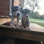 Profile Picture of Sherman and McKenzie Thompson (@shermanandmckenzie) on Instagram