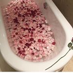 Profile Picture of Nancy 3 (@nancy_gaudino_3) on Instagram