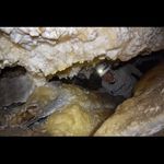 Profile Picture of Kai B Kealoha (@caverkai) on Instagram