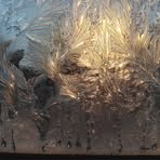 Profile Picture of Vicki Eckert Drexel (@vicki.eckert.drexel) on Facebook