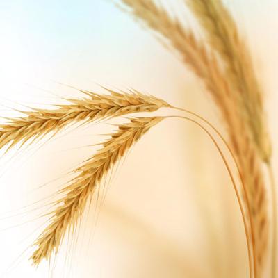 Profile Picture of Dorothy Thompson (@Dory_Thompson68) on Twitter