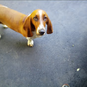 Profile Picture of Ken Sharp (@KenSharp-kn6uv) on Youtube