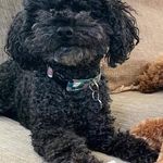 Profile Picture of Sherry Walls (@sherry.walls.773) on Instagram