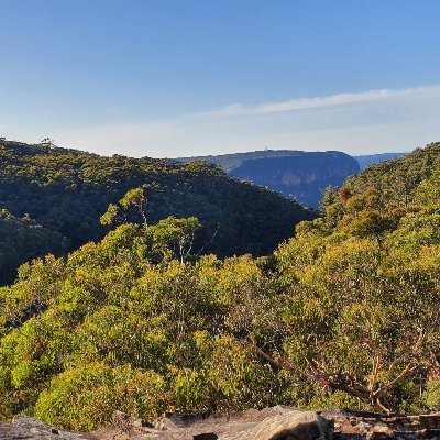 Profile Picture of Sadaf Ashraf (@sadafAs37167183) on Twitter