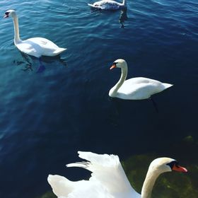 Profile Picture of Audrey Wagner (@audiwags) on Pinterest