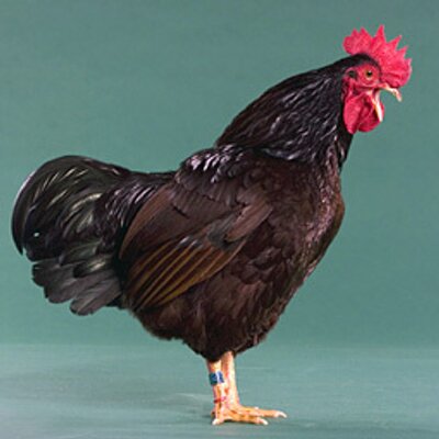 Profile Picture of Tim Selby (@timss13) on Twitter