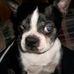 Profile Picture of Miighty McCloskey (@miighty.mccloskey) on Facebook