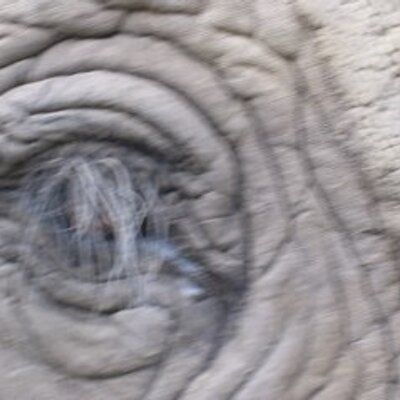 Profile Picture of Keith Hales (@StretchCooper) on Twitter