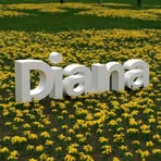 Diana Lavender - Facebook Profile Picture of Diana Lavender (@Diana-Lavender) on Facebook