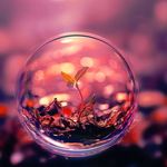 Profile Picture of its__smoker__paliyal__00786 (@paliyal__786) on Instagram