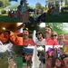 Profile Picture of Tim Thompson (@tam0428) on Pinterest