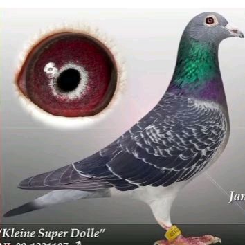 Profile Picture of MarkLoft (@markloft4) on Tiktok