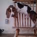 Profile Picture of Stephen Tuttle (@stephen.tuttle.58) on Facebook