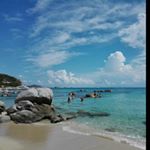 Profile Picture of Wild Savannah (@wild_savannah_) on Instagram