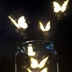 Profile Picture of Anne Nicolay (@anne.nicolay) on Instagram