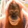 Profile Picture of drew_vr (@@andrewgarber1) on Tiktok