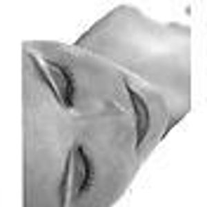 Profile Picture of Chanty P (@chanty_p) on Myspace