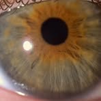 Profile Picture of Julia Burgos (@Julia-Burgos) on Facebook