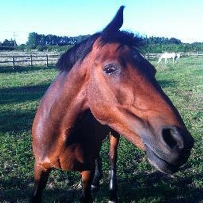 Profile Picture of Amelia Thorne (@aliceamelia) on Twitter