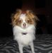 Profile Picture of Kenneth Stringer (@kenneth.stringer.94) on Facebook