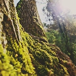 Profile Picture of Marc Vera (@marcverasoler) on Flickr