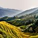 Profile Picture of Jacob Bauer (@jacobauer31) on Pinterest