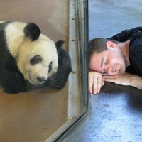 Profile Picture of Ryan Pertusio (@ryan-pertusio) on Quora