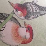 Profile Picture of alexx.boychuk (@alexx.boychuk) on Instagram