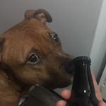 Profile Picture of Richard Gier (@brew_donkadonk) on Instagram