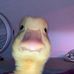 Profile Picture of Jordan Hidalgo (@jordan.hidalgo.52056) on Facebook