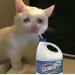 Profile Picture of Sebastian🐰Bradford (@sebaslucker) on Instagram