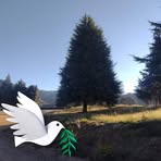 Profile Picture of Pino G Hernández (@pino.g.hernandez.2025) on Facebook