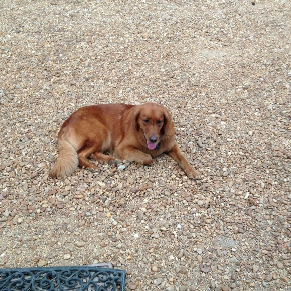 Profile Picture of Caroline Moore (@tannermoore35) on Poshmark