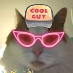 Profile Picture of Thomas LoFaso (@thomaslofaso) on Instagram