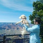 Profile Picture of Brian Jennings (@bclarkjennings) on Instagram