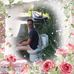 Profile Picture of Stefan Clark (@stefan.clark.9026) on Facebook