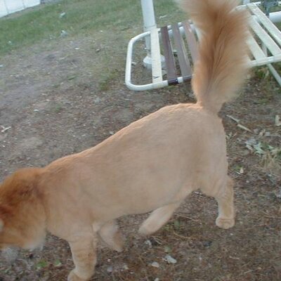 Profile Picture of David Huett (@davehuett) on Twitter