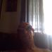 Profile Picture of Steve Eller (@steve.eller.5815) on Facebook
