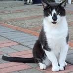 Max Harding - Facebook Profile Picture of Max Harding (@Max-Harding) on Facebook