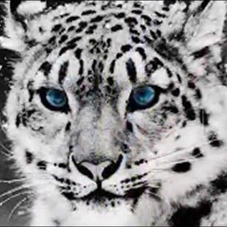 Profile Picture of Marvin Schultz (@marvin.schultz.9634) on Facebook