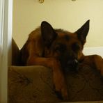 Profile Picture of Susan Hesketh (@susan.hesketh.79) on Facebook