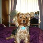 Adam Dykes - Instagram Profile Picture of Adam Dykes (@adamdykes00) on Instagram