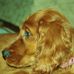 Profile Picture of Colin MacNeill (@colin.macneill.988) on Facebook